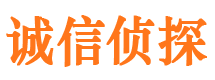 莱西侦探公司